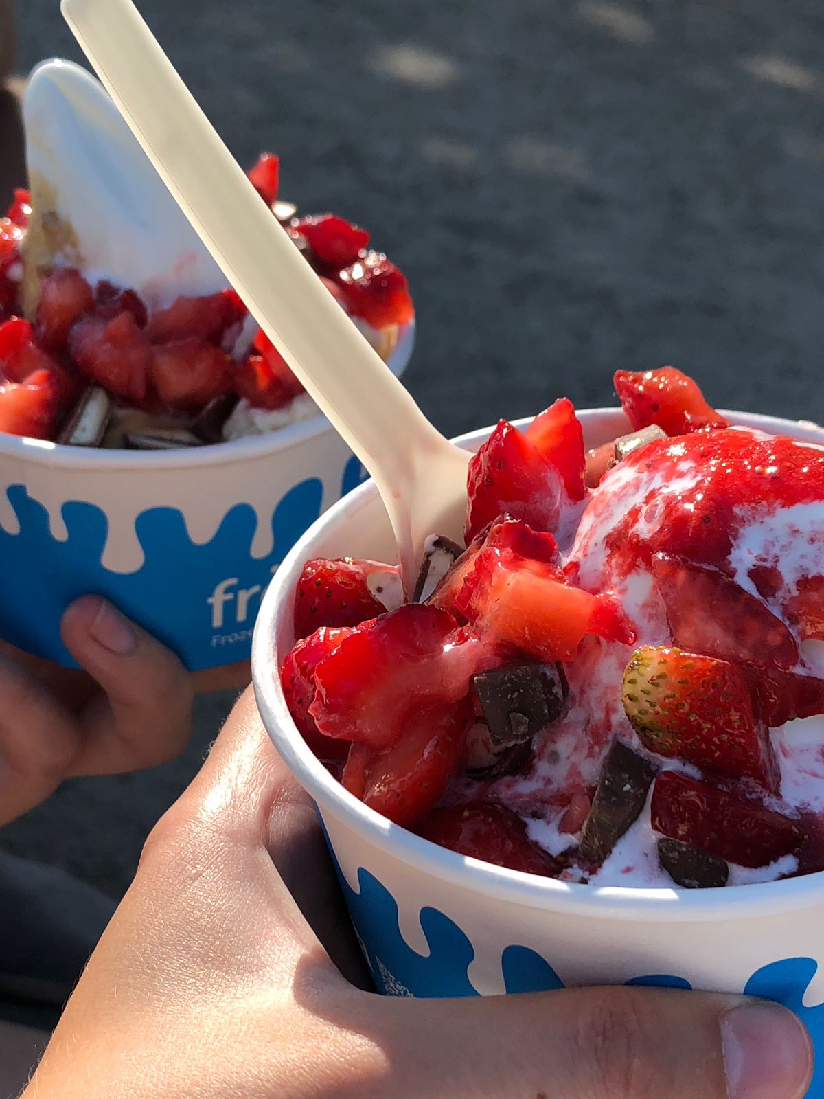 Fröhlich the trendiest Frozen Joghurt shop in the city